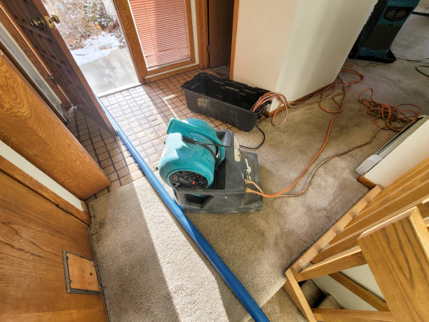 Best Flood damage cleanup  in Meridian, PA