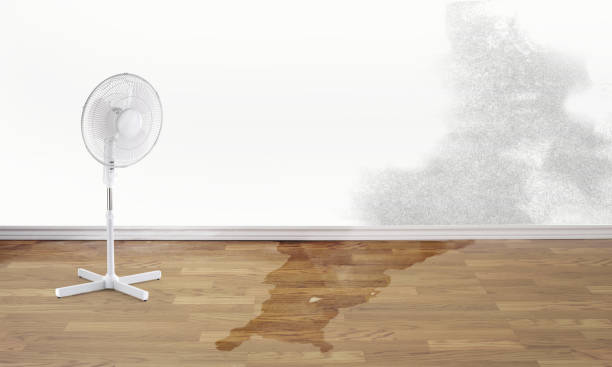 Best Water damage restoration near me  in Meridian, PA