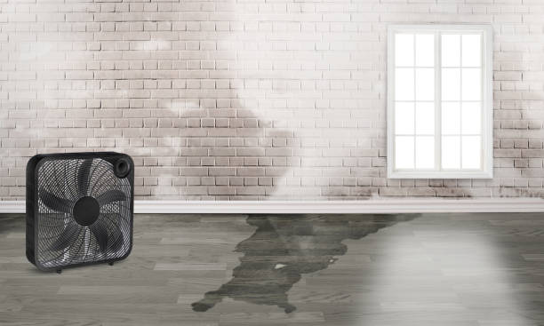 Best 24/7 water damage repair  in Meridian, PA