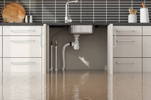 Best Fire Damage Restoration  in Meridian, PA