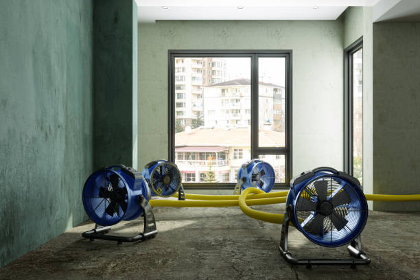 Best Mold removal after water damage  in Meridian, PA